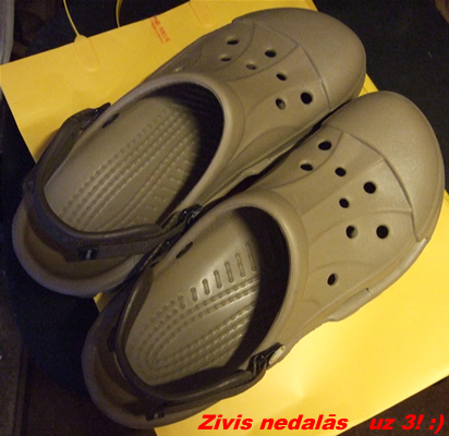 crocs.jpg