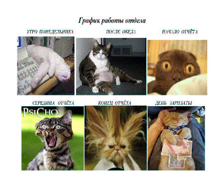 grafik.jpg