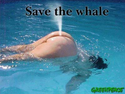 save_the_whale.jpg